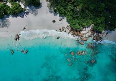 Michaela rimakova rfdg9xhcbre unsplash.