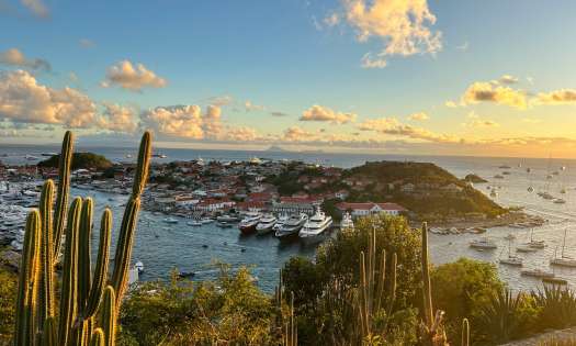 Cacti on a path leading to a harbour with boats in front of buildings.