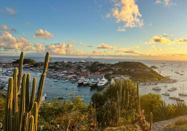 Cacti on a path leading to a harbour with boats in front of buildings.