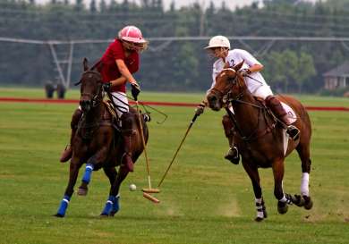 2 polo players competing for the ball.