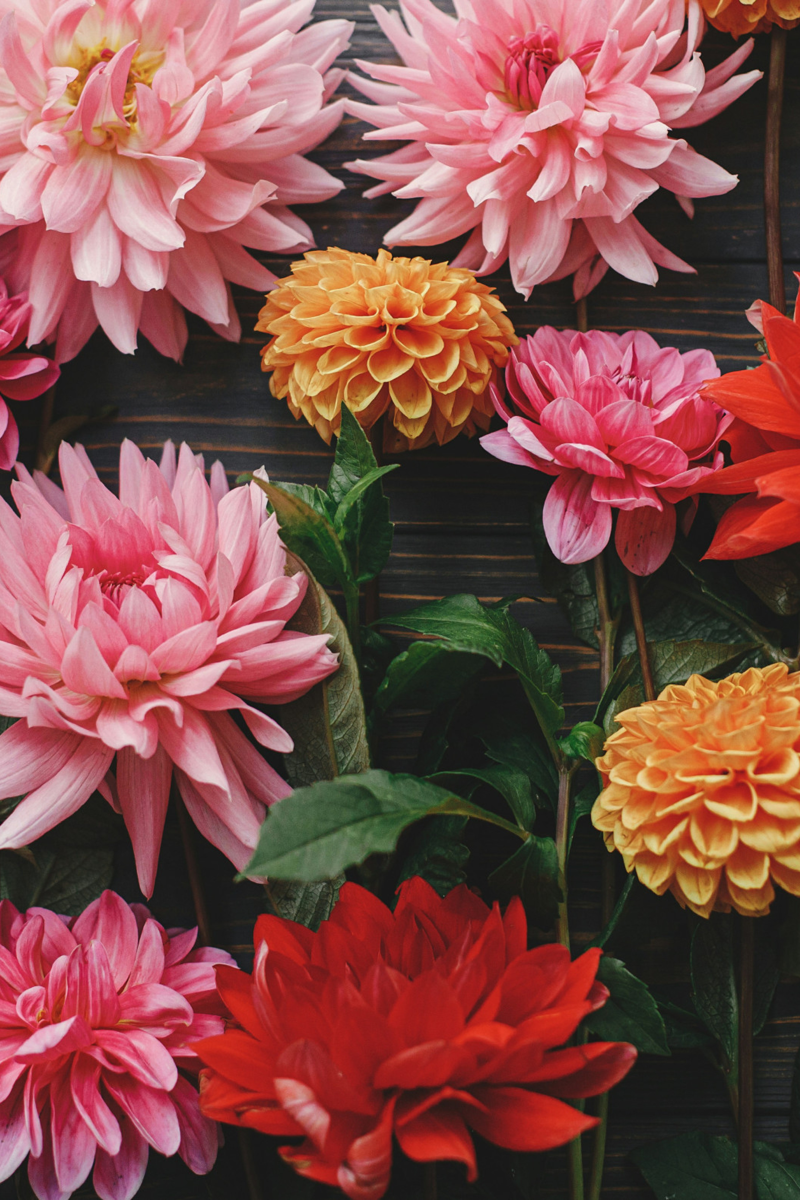 pink and orange flowers arranged on a table