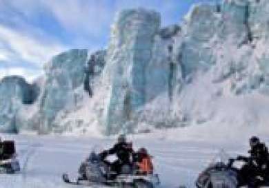 Polar bears snow mobiling svalbard 300x123.