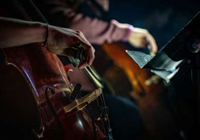 2 large string instrument players with a metal sheet music stand in front of them.