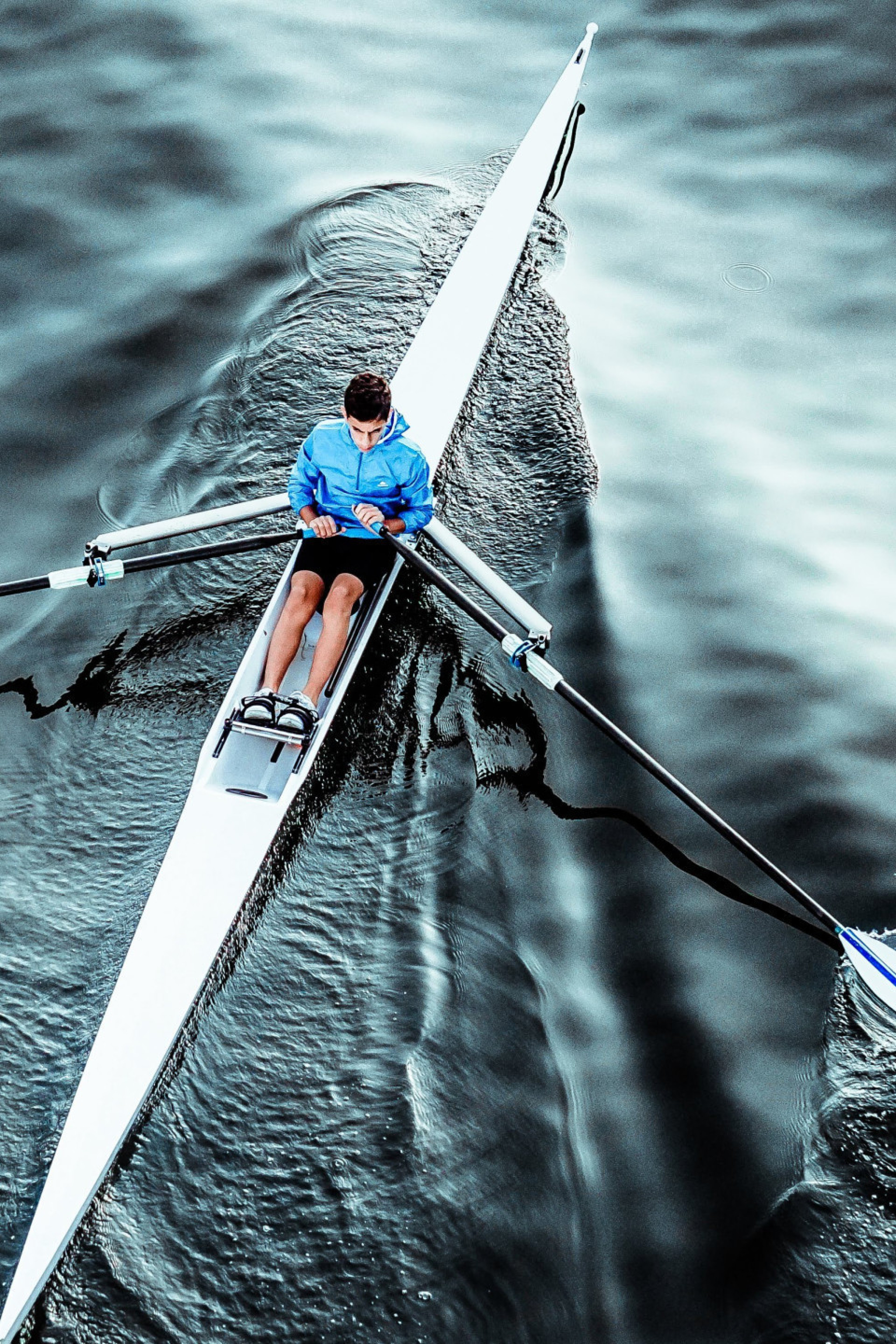 royal-regatta-man-rowing-pexels-run-ffwpu-3554634.jpg