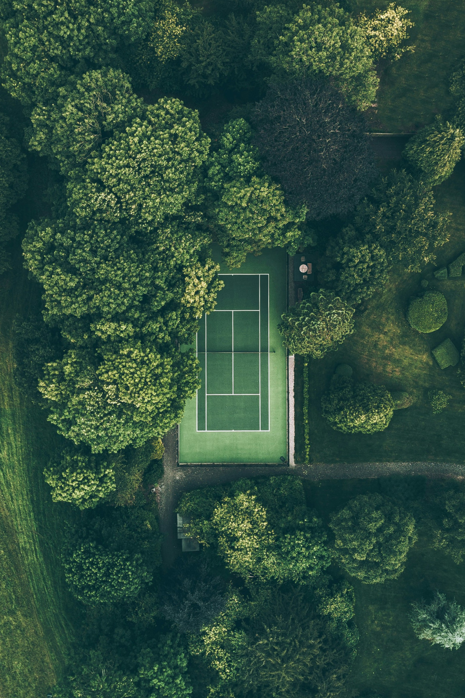 ryan-searle-qjrjjnfypa0-unsplash.jpg