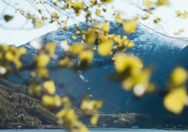 Norwegian fjords in spring .