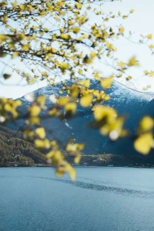 Norwegian fjords in spring .