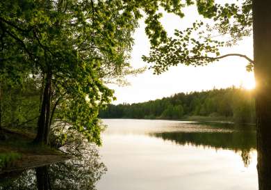 View of lake in sweden.