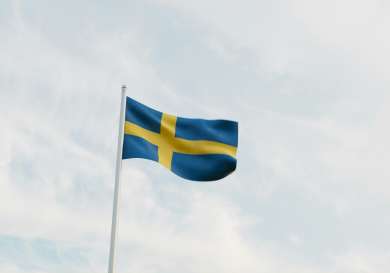 Swedish flag .