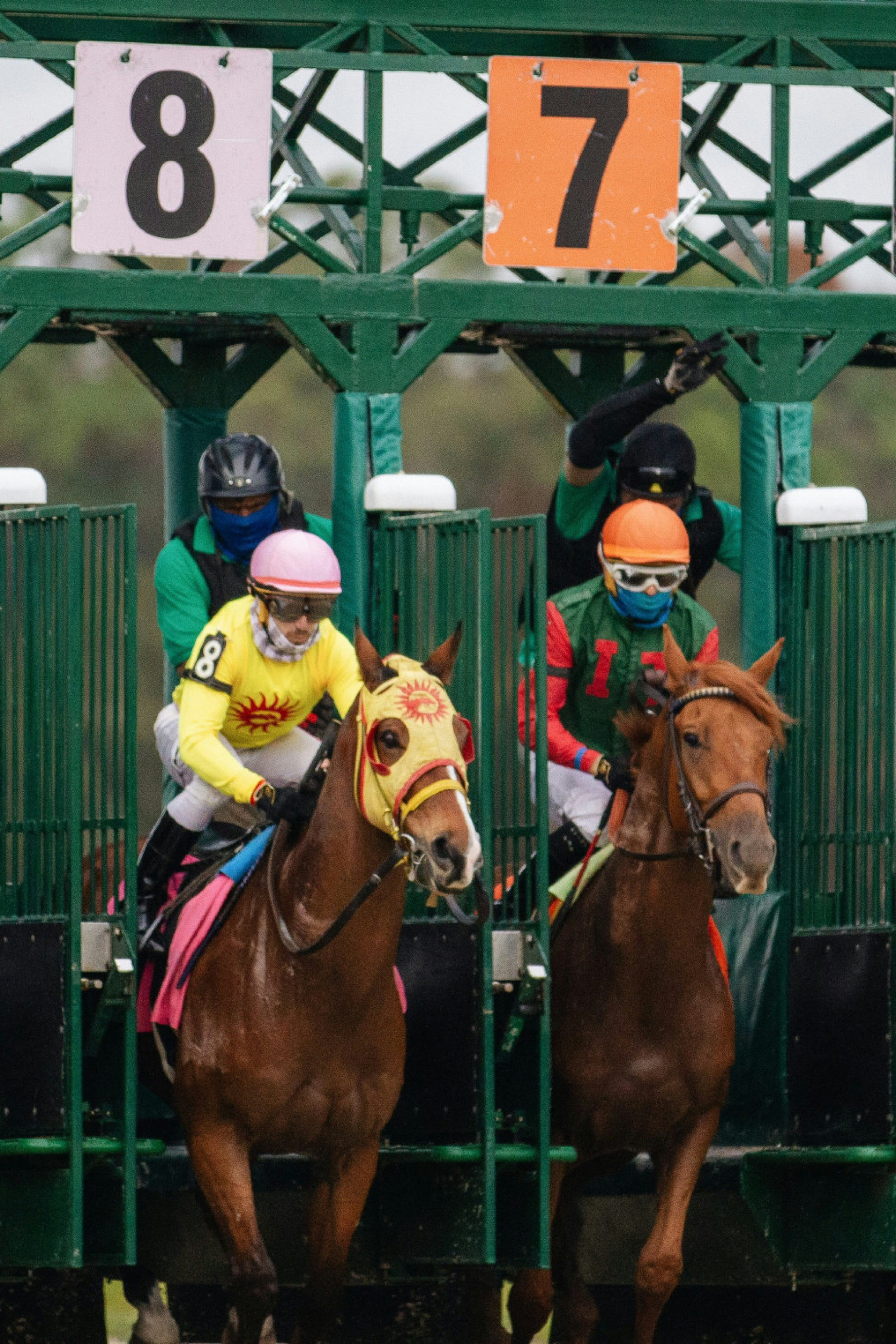 horse jockeys lined up to race