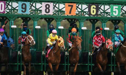 Horse jockeys lined up to race.
