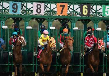 Horse jockeys lined up to race.