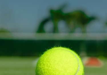 Tennis ball on grass court.