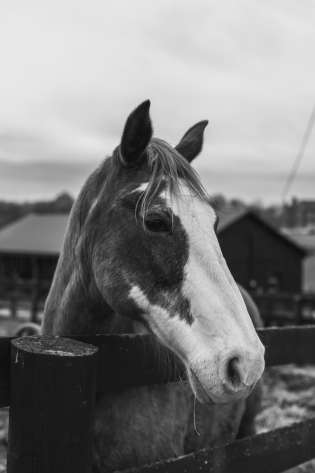 Travis essinger atbwiyyktm8 unsplash 1781041952.