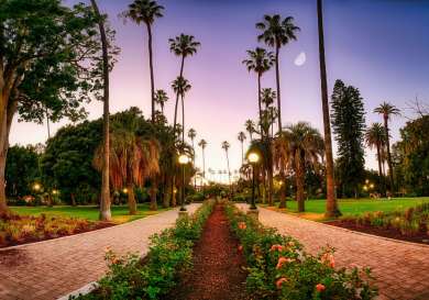 Walkway at dusk in a part with flowers and palm trees.