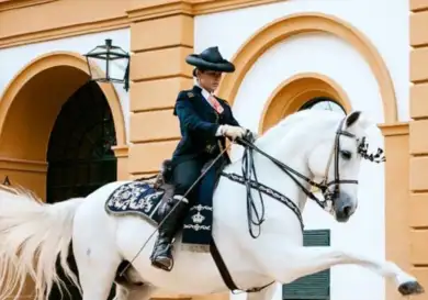Xrj horses header_story 560w.