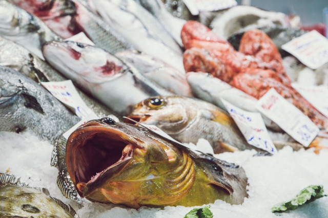 close-up of fish market