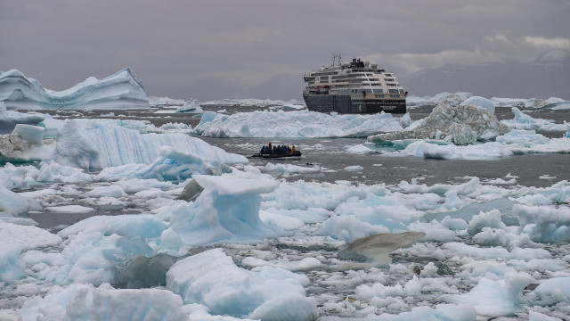cruise ship passing through ice bergs in greenland