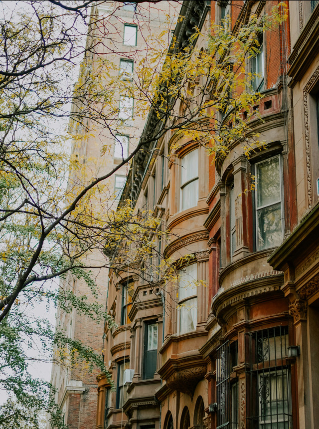 greenich village in new york 