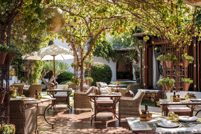 hotel restaurant underneath canopy 