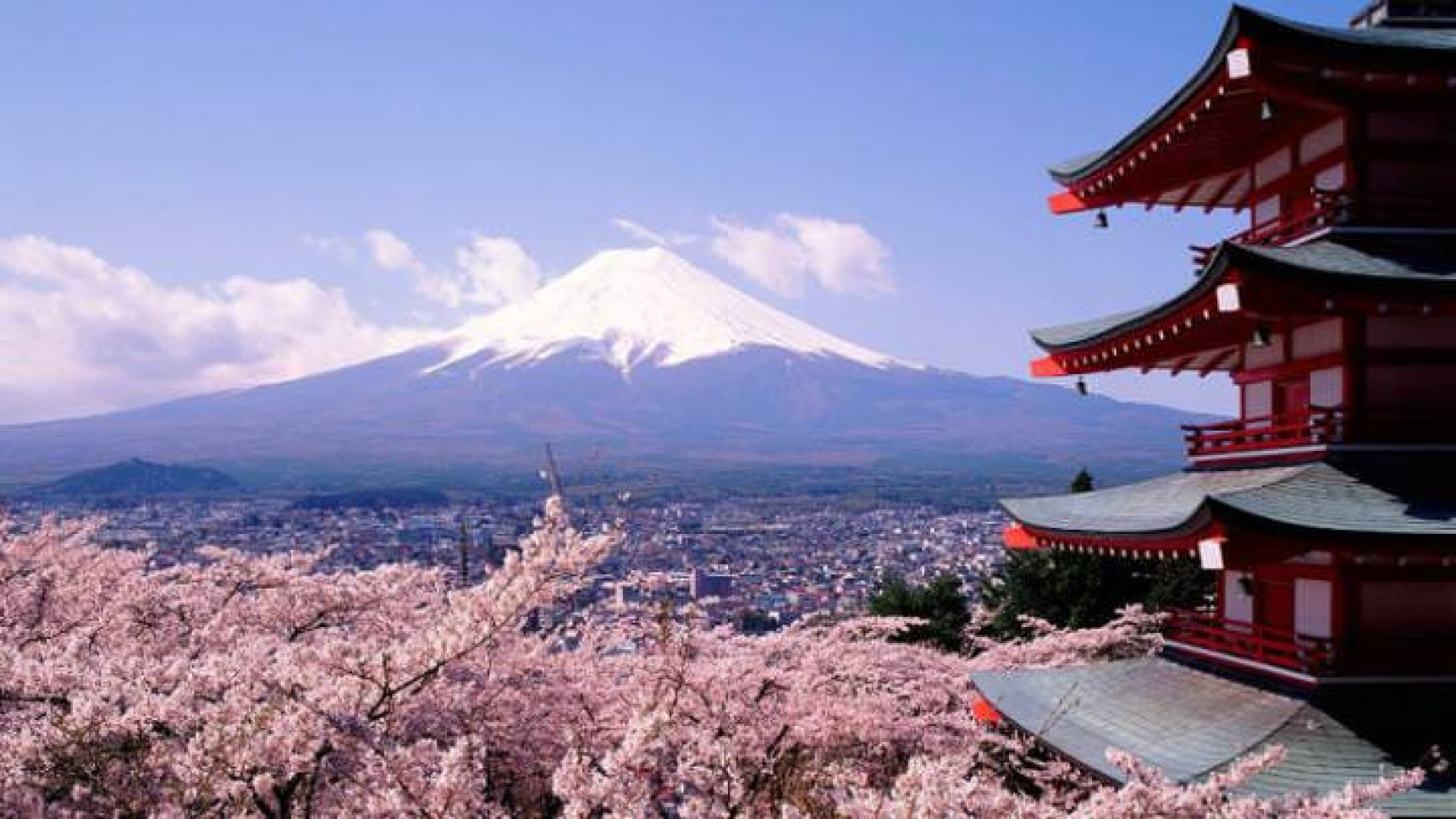 Mount Fuji from a distance in Cherry Blossom season
