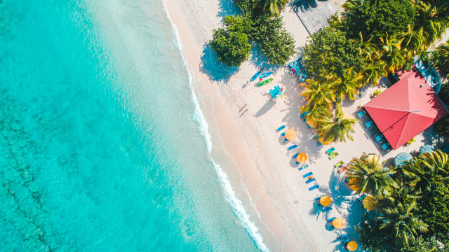 aerial view of beach in the caribbean 