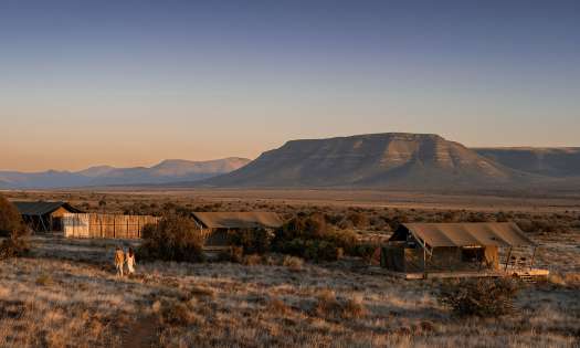 Samara plains camp at sunrise .