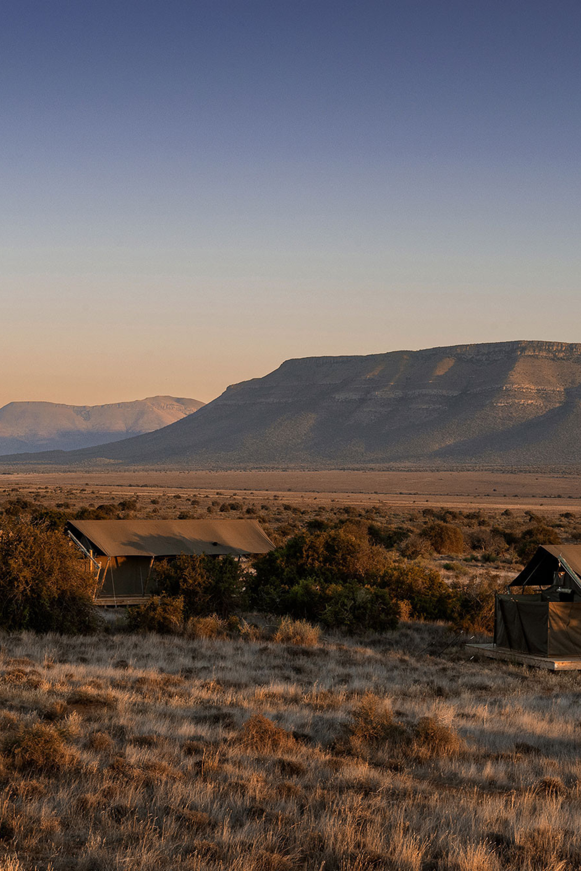 samara plains camp at sunrise 