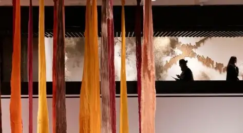 11.