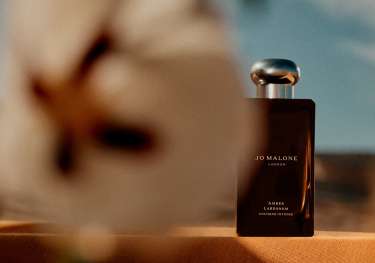 Photo of perfume bottle with flower in the forefront.