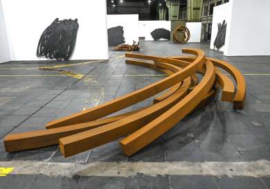 Bernar Venet 4.