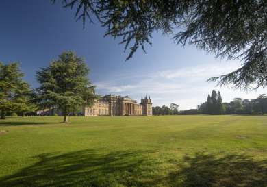 Parkland at blenheim palace.