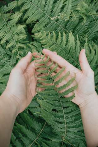 Person holding fern leaf.