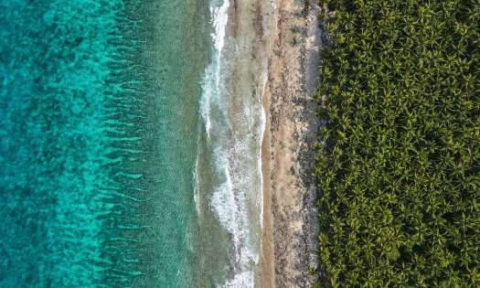 Aerial view of the maldives with sea and palm trees.