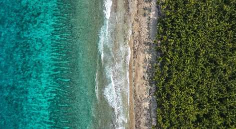 Aerial view of the maldives with sea and palm trees.