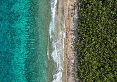 Aerial view of the maldives with sea and palm trees.