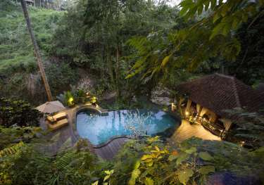 A kidney-shaped pool is surrounded by lush greenery, with a wooden deck, a thatched gazebo, and tropical plants, creating a serene, secluded jungle retreat vibe.