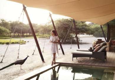 Sir bani yas island: an eco wildlife safari on the persian gulf outside peacock.