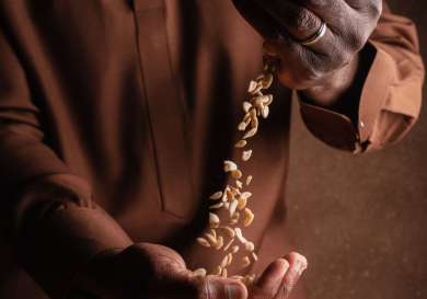 Hands pouring seeds from one palm to another, wearing a brown shirt, in a dimly lit setting.