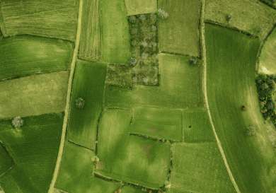 Aerial view of green fields .