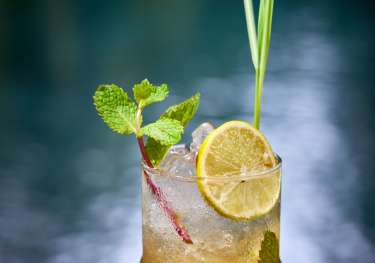 Photo of cocktail topped with citrus fruit and mint.