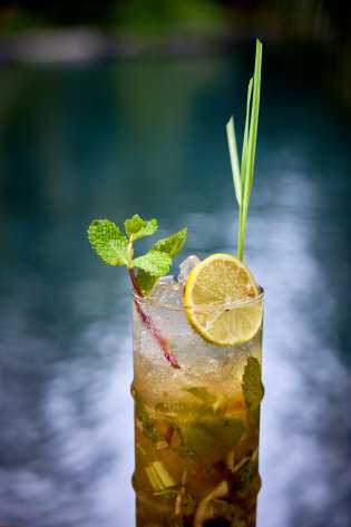 Photo of cocktail topped with citrus fruit and mint.