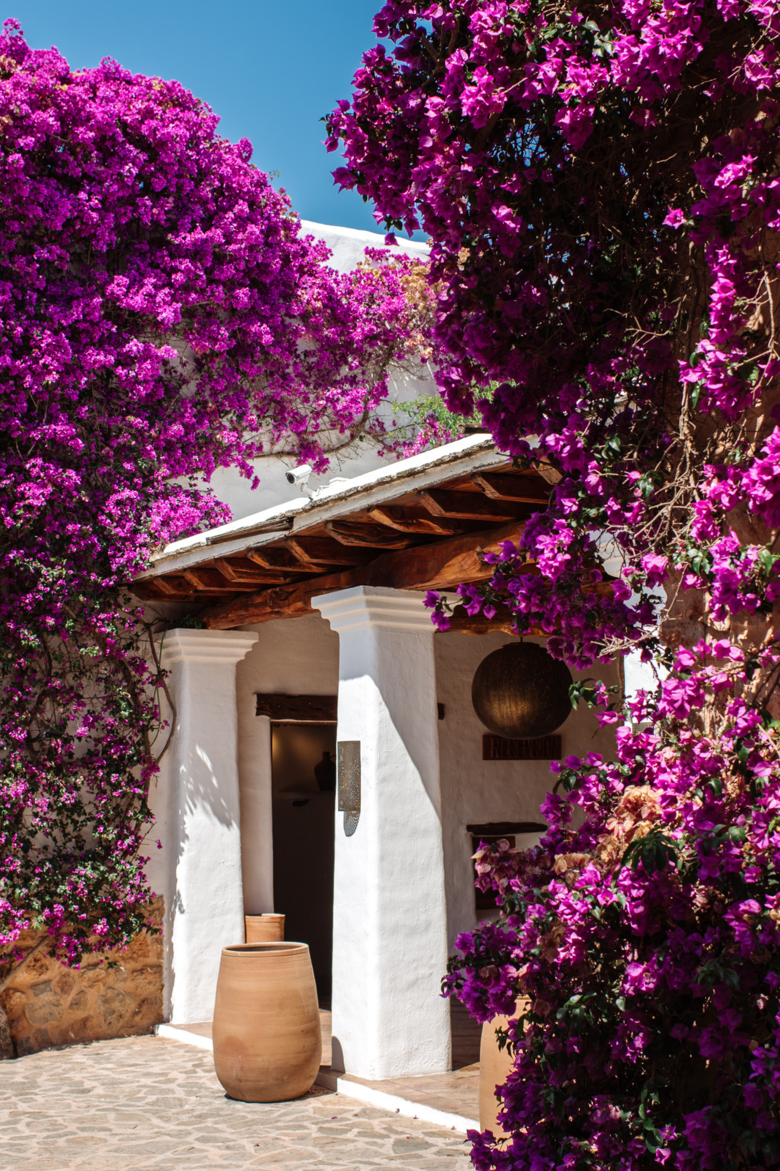 atzaro-agroturismo-hotel-exterior-flowers.jpg