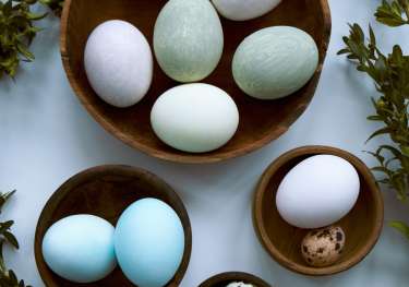 Blue eggs in brown wooden bowls .