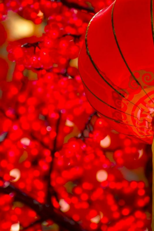 Chinese lanterns 1657280718.