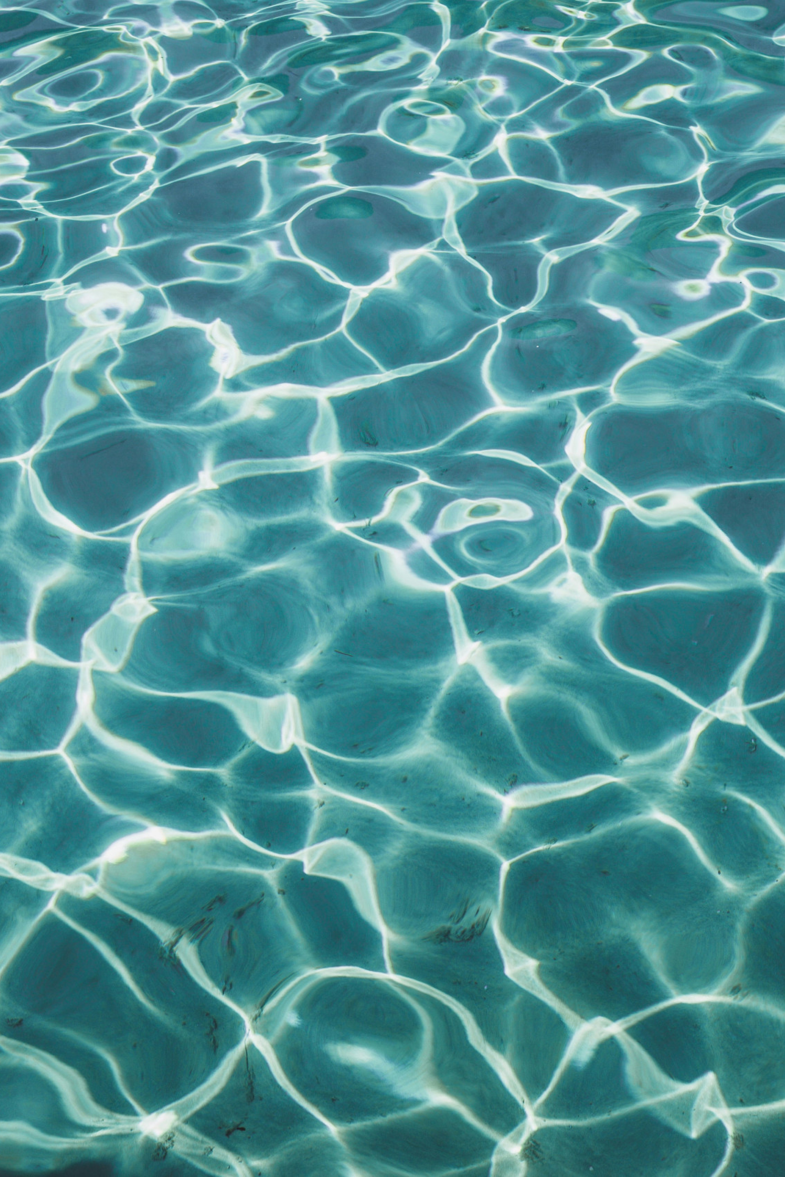 swimming pool in the sunlight