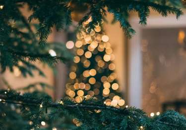 Photo of christmas tree draped with lights .