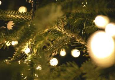 Christmas tree with warm lights.