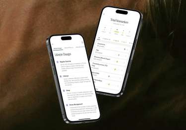 Photo of two phones displaying app .