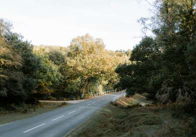 Road in english countryside.